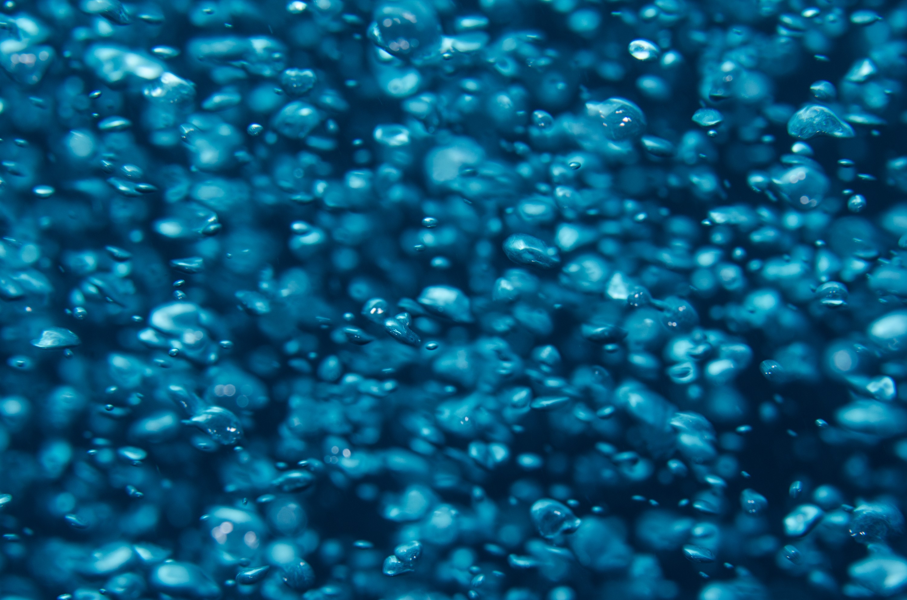 DSC_9291 – bubbles